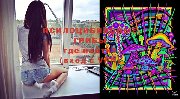 PSILOCYBIN Арсеньев