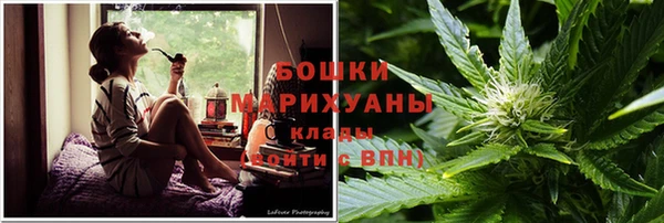 PSILOCYBIN Арсеньев