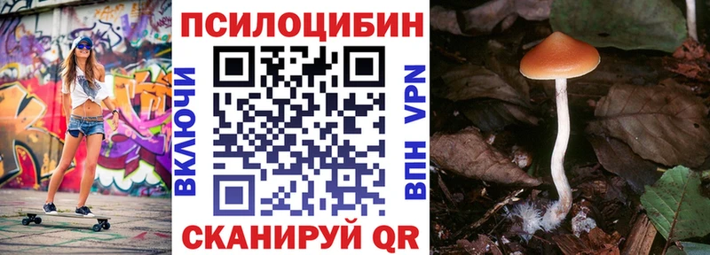 Галлюциногенные грибы прущие грибы  Боровск 
